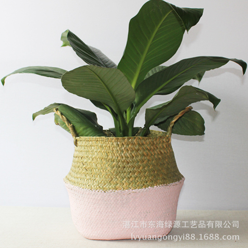 109 color natural del vientre 18 algas marinas cesta plegable Estilo nórdico suculento paja planta flor dispositivo fuente fabricante