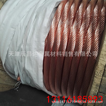 ~g Ӳ~g TJR-1 ~~g a~g S~g