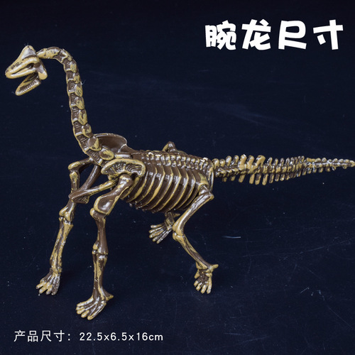 Children's archaeological blind box dinosaur fossil Tyrannosaurus rex skeleton model handmade diy gem digging boy digging toy
