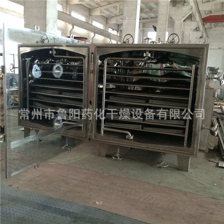 真空干燥机 鲁干牌 方形静态低温真空干燥箱  优欢迎选购