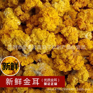 ���r�S�����خa���rĢ��ѩ���S���r����ζŴ�S������l