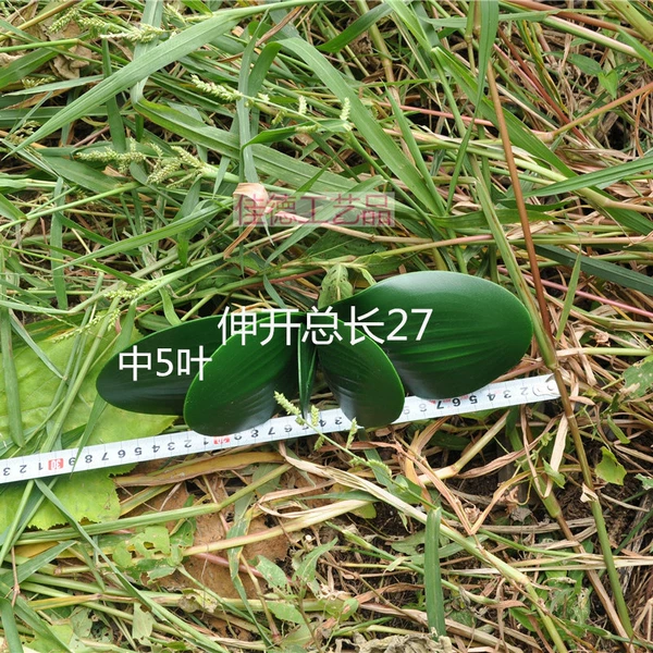 5 leaves
