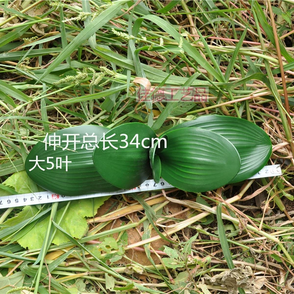 Big 5 leaves