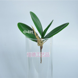 ��������m�~ �m���~ �ߙn�����m�~�� �z�W������� 4�~