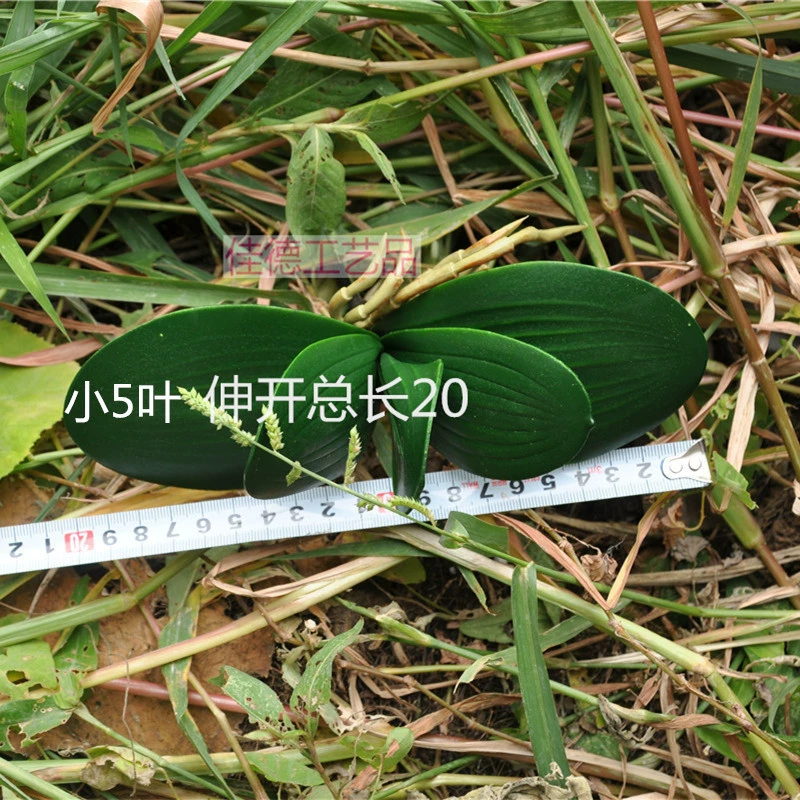 Phalaenopsis leaf fingerprint feel orchid leaf high -grade leaf silk network flower accessories flower arrangement accessories decoration