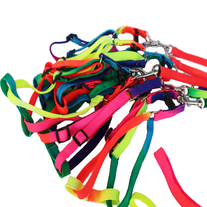 Cuerda de tracción para mascotas cuerda de tracción colorida correa de pecho para mascotas cuerda de perro Cadena de perro venta directa de fábrica
