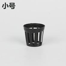 С̖ ˮ�ݷNֲ�@�� ˮ�ݱ� ���bˮ������̖ �M��������ˮ�ݻ@��