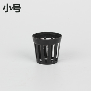 С̖ ˮ�ݷNֲ�@�� ˮ�ݱ� ���bˮ������̖ �M��������ˮ�ݻ@��