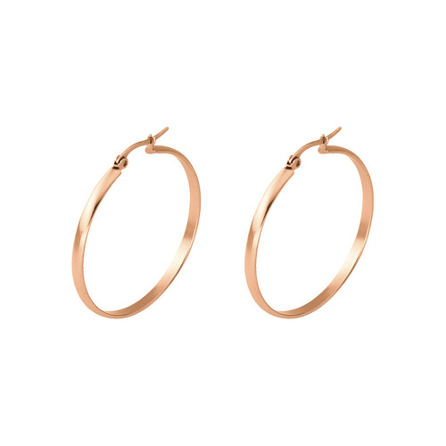 European and American Fashion Titanium Steel Curved Hoop Earrings Stainless Steel Ear Clasp Wide Hoop Trendy Ear Clasp Direct Manufacturer Sale