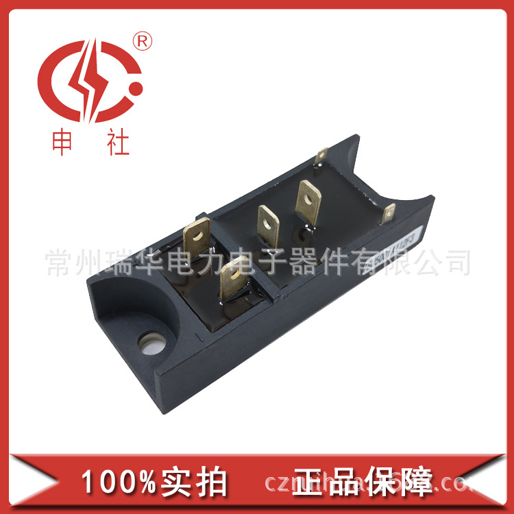 申社 常州瑞华全新30A 50A晶闸管/二极管模块MT/DFQ301629