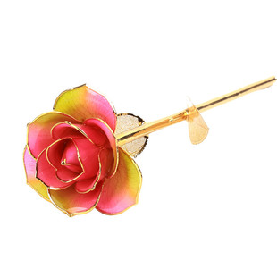 ���R�d���僽�õ�� �羳����24k�}�Q���Y�� ������ ���ŏS�����l