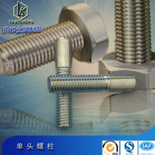 ̼���\���^�ݼy�����ߏ��Ȇ��ݼy�����֔Q�ݗU���U���^