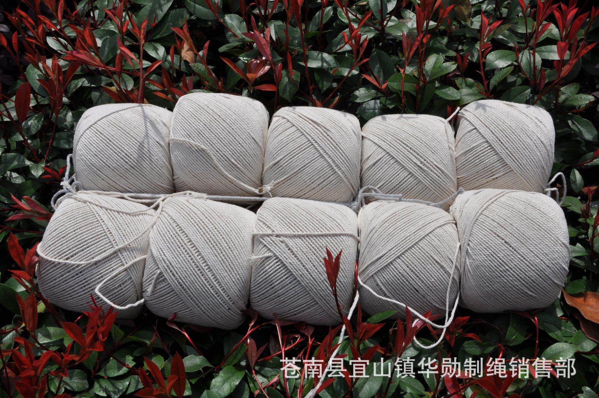 供应开线 嵌绳 包边绳子 滚边绳 棉绳 本白 2.5-4.5毫米