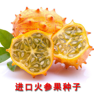 ���ǹ� �����۹Ϻ������̽ǹ���Ϯ��� ������ˮ���N�� ���b10��