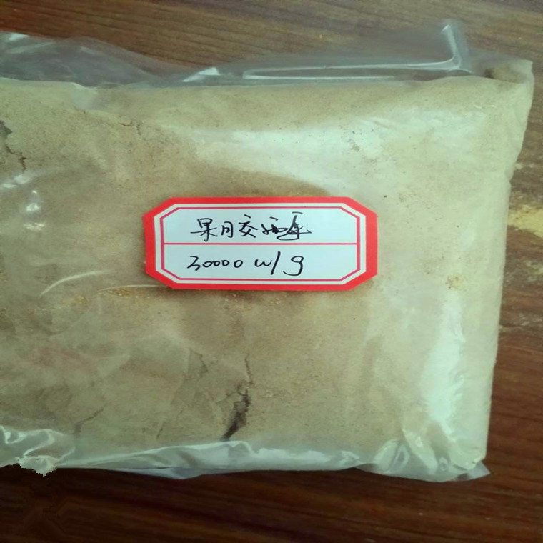 供应食品级果胶酶 酶制剂.果胶酶