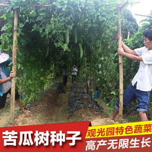 ^pʳ߲˘N ϘN ͥ^@ͥԺˈ@Nֲϲ