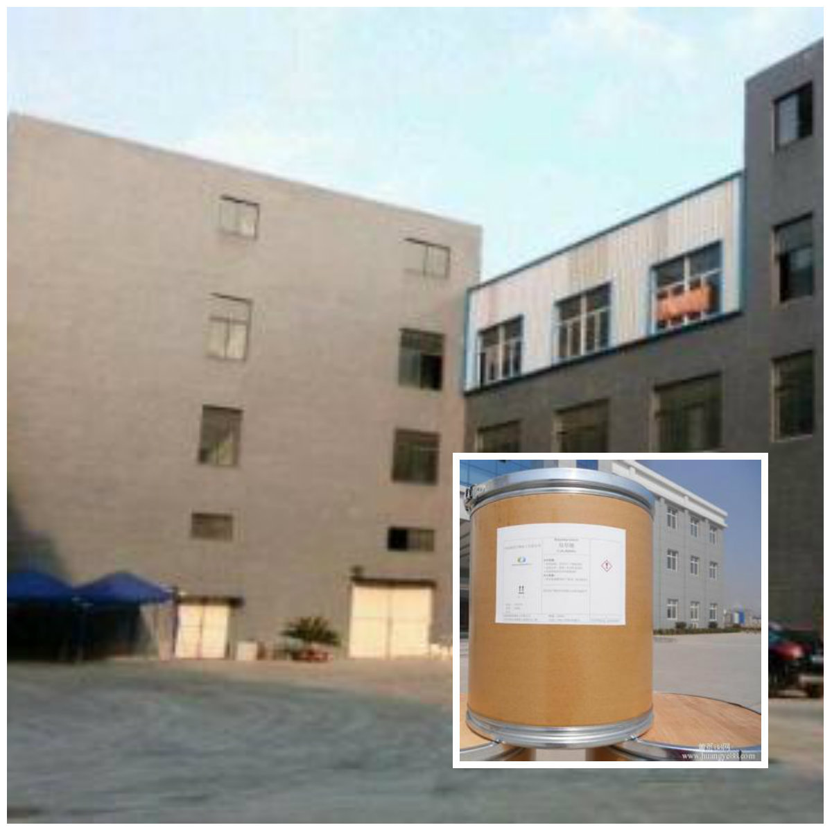 丽盛化工 2,3-吡嗪二羧酸 供应吡嗪-2,3-二羧酸