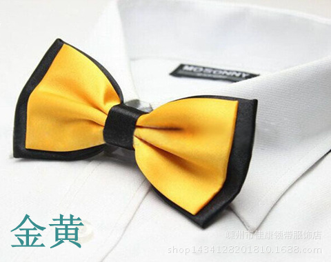 황금 나비 넥타이