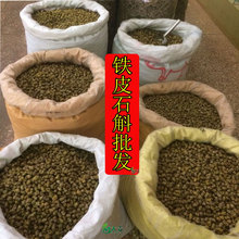 云南铁皮石斛基地合作直供 铁皮石斛枫斗批发干石斛及鲜条