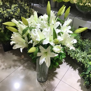 �ٺϻ� ����ֲ�� ���l ���l؛ �Ҿ��b�Ʒ ����������