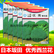 �ձ���������m���N���໨�˾Gɫ��Ҭ�˾G�˻��߲˷N�Ѵ���Nֲ