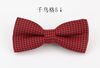 Fashionable bow tie English style, British style