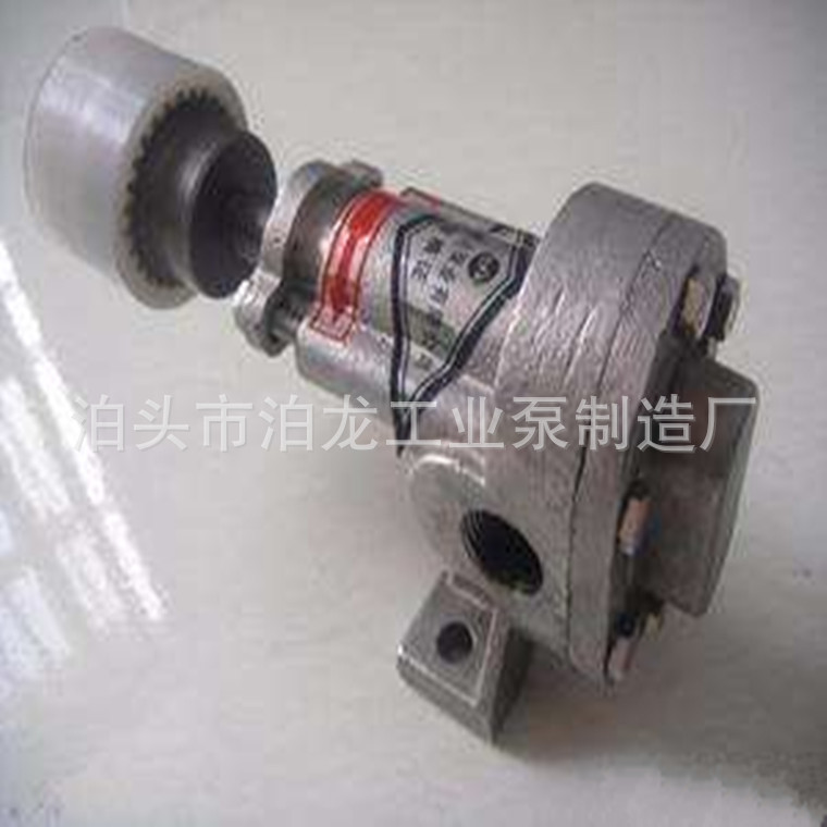 供应 香油泵 面糊泵 巧克力泵 微型不锈钢齿轮泵