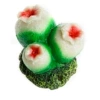 Bubble Coral [Green]