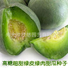 Emerald melon seed F1 high -yield green leather green meat melon sugar degree 22 degrees super sweet high sugar thin skin melon