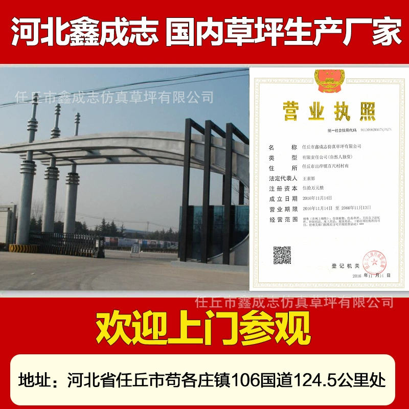 Green travel garden lights, artificial decorations for early age