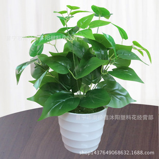 ����ֲ���ľGֲ��������ϻ���c�b�˹�~�G�}�bS�����l