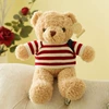 Light brown American flag model