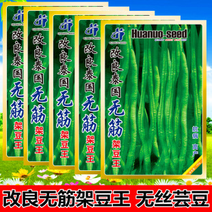 �߲˷N�� �˶��G���m��ܿ���ļ��o�z���� ����̩���o��ܶ����N��
