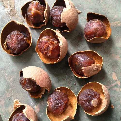 Thailand Dried Longan