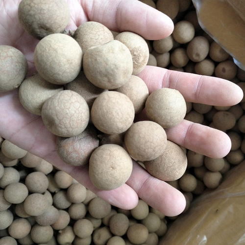 Thailand Dried Longan