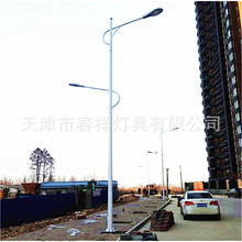 天津厂家批发 14米路灯杆高低臂杆双臂杆户外道小区LED灯杆金属杆