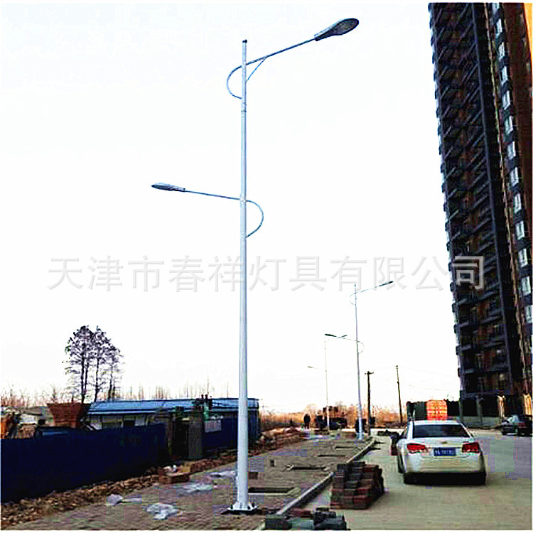 天津厂家批发 14米路灯杆高低臂杆双臂杆户外道小区LED灯杆金属杆