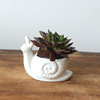 Medium -temperature ceramic turtle polysmal pot white porcelain polysmonian plant flower pots animal flower pot potting plants 7713
