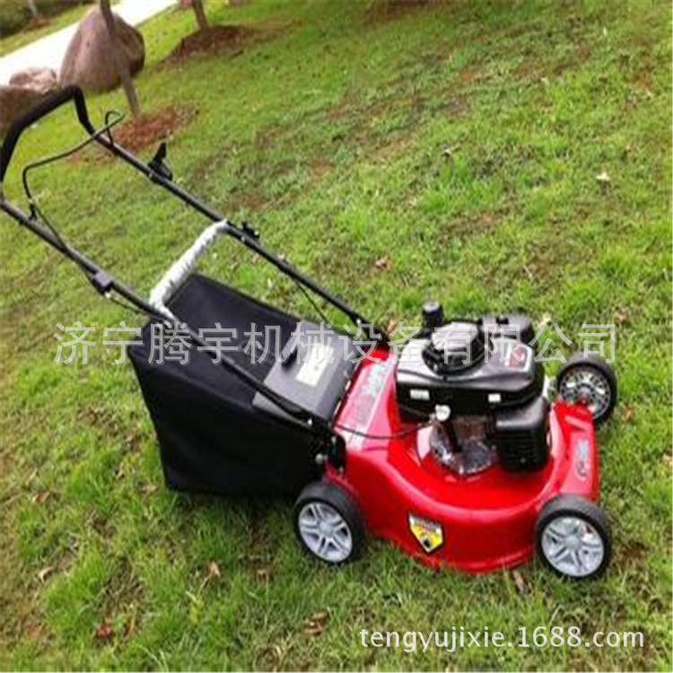 奔跑吧手推式草坪机腾宇牌20寸汽油割草机背负式割草机侧挂式打草