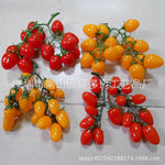 �ܽ�ʥŮ������ʥŮ����ˮ���߲˷���PVC������������Ӱ