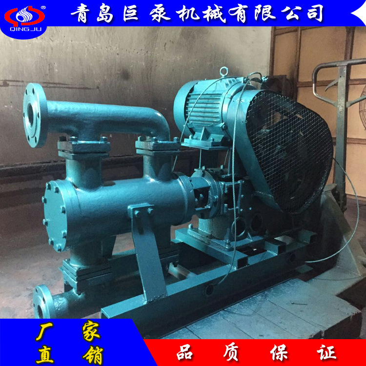 WBR系列电动往复泵 防爆电动往复泵 蒸汽往复泵（厂家直销）