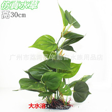 ���Q���N����ˮ��ˮ���䲼�����~���쾰�^�pˮֲ��������ˮ��