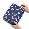 Small cosmetic bag, handheld capacious small bag, universal storage box, South Korea