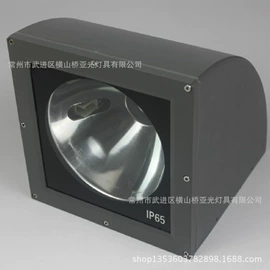 泛光灯;投射灯;隧道灯具