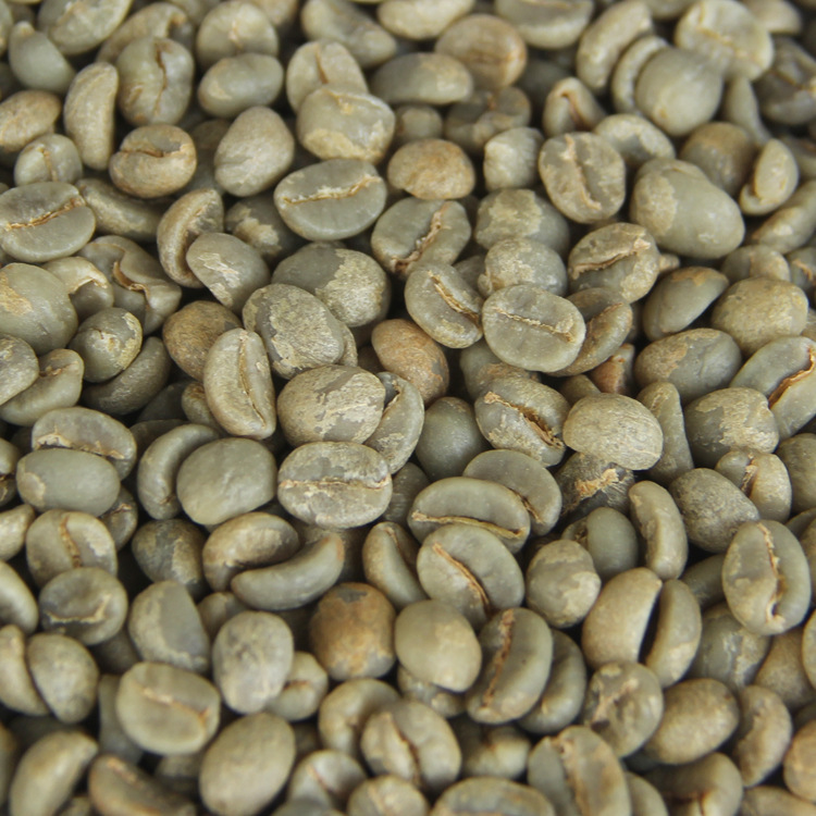 云南咖啡豆咖啡生豆文山咖啡豆水洗咖啡阿拉比卡豆出口优特选|ru