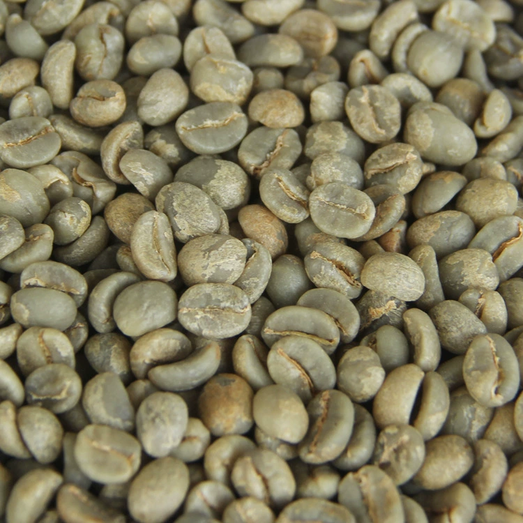 Юньнань кофе в зернах кофе в бобах