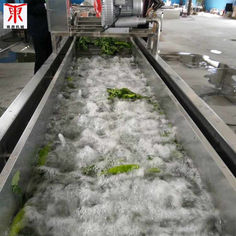 供应大枣清洗机流水线   水果清洗设备 红参丹参气泡清洗流水线
