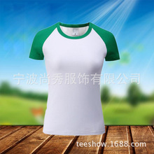 个性班级服装女式莱卡棉插肩圆领T恤 纯色空白T恤