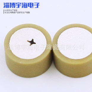 Piezoelectric Ceramic Manufacturer Supplies Piezoelectric Ceramic Disc P5 Piezoelectric Ceramic Column Piezoelectric Crystal Ultrasonic Sheet