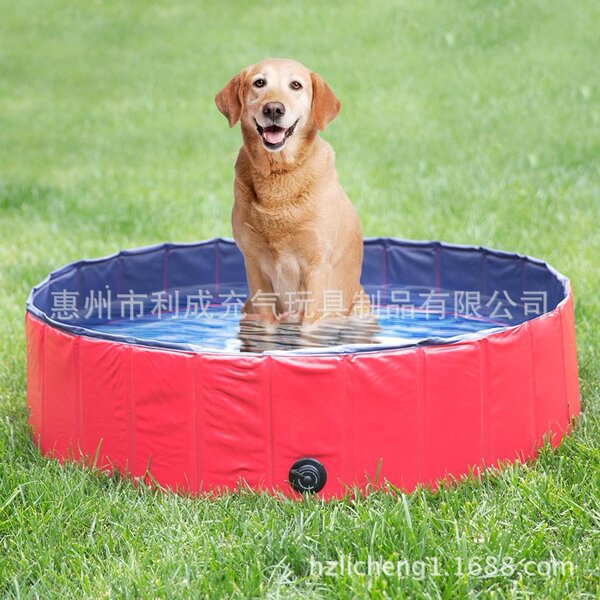 Folding toy play in water
